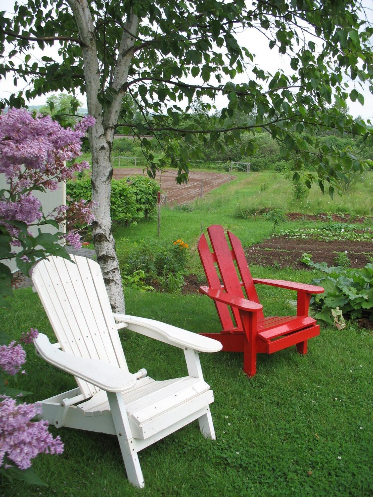 The Nelson House Bed And Breakfast Stewiacke Esterno foto