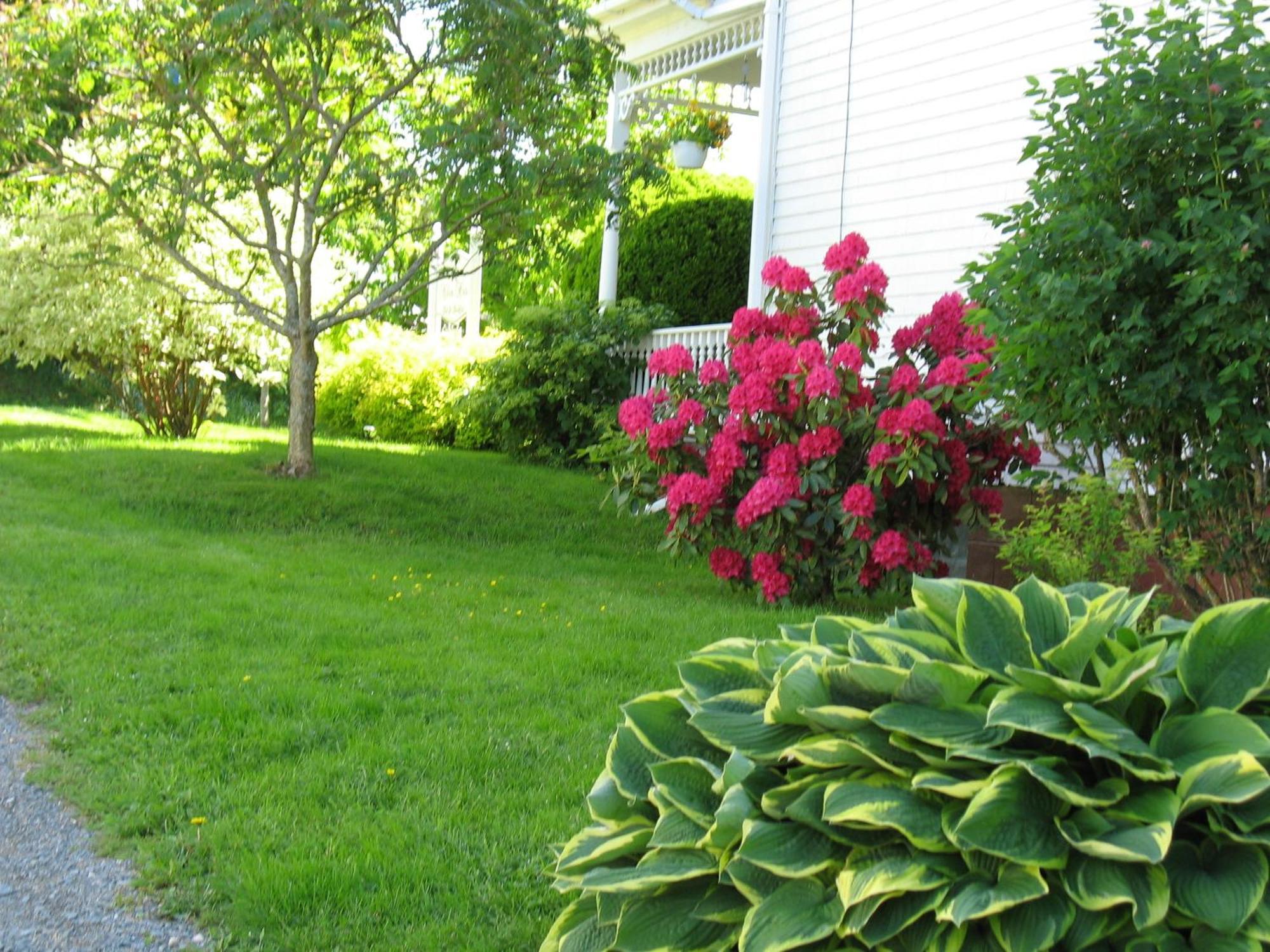 The Nelson House Bed And Breakfast Stewiacke Esterno foto
